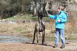 ENFANT ET CHIEN 203